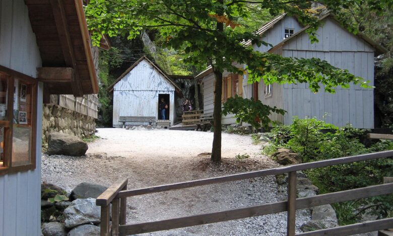 razstava o partizanski bolnici franja v bruslju 68ea8d1a63440 1760202010