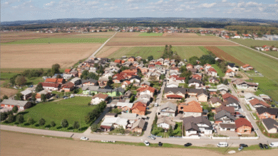 Romska skupnost v Sloveniji poziva k enotnosti in sožitju 2 romska skupnost v sloveniji poziva k enotnosti in sozitju 6900be650e905 1761656421