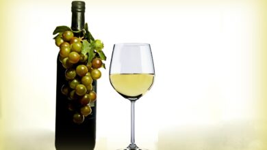 stajerska danes praznuje 10 let salona mladih vin pubec 68fb94843ae14 1761318020