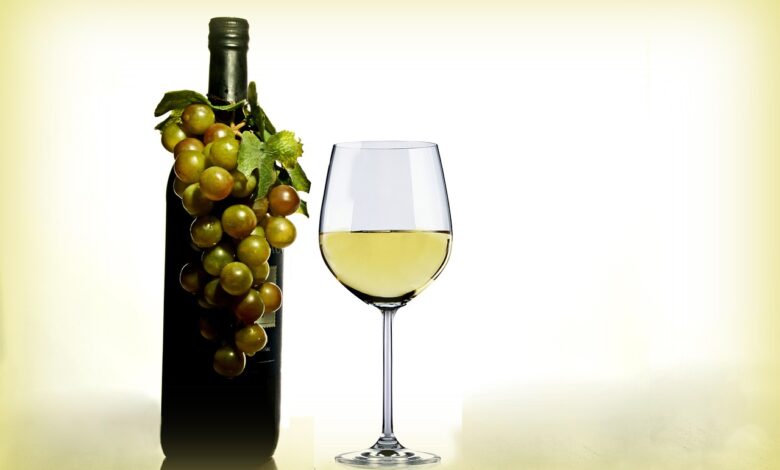 Štajerska danes praznuje 10 let salona mladih vin Pubec 1 stajerska danes praznuje 10 let salona mladih vin pubec 68fb94843ae14 1761318020