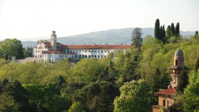 vinska drazba na kostanjevici podprite obnovo dediscine 68fe0d46b8c8d 1761480006