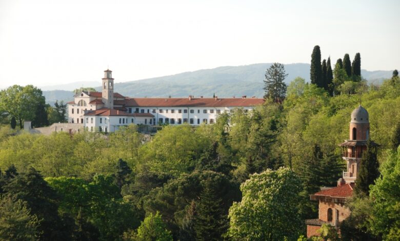 vinska drazba na kostanjevici podprite obnovo dediscine 68fe0d46b8c8d 1761480006