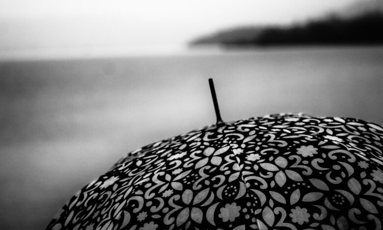 Vremenoslovci opozarjajo na močne vetrove in padavine: Pripravite se na pester četrtek! 1 vremenoslovci opozarjajo na mocne vetrove in padavine pripravite se na pester cetrtek 68f8e3701f321 1761141616