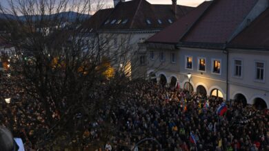 Zunajparlamentarne stranke zahtevajo ukrepe po nasilju v Novem mestu 1 zunajparlamentarne stranke zahtevajo ukrepe po nasilju v novem mestu 6902022fbd823 1761739311