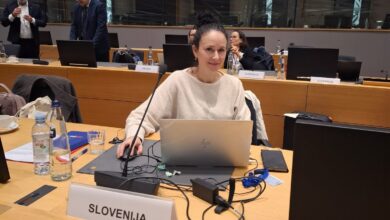 Direktorica Vida Znoj odstopila po razkritju osebnih podatkov 17 Vida 2 FitMaxWzIwMDAsMjAwMCwiMmExZTExYTczNyJd