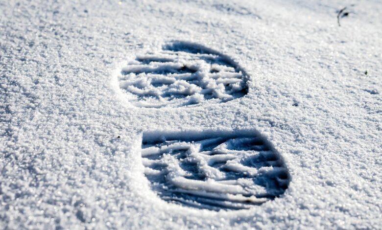 ali bo letosnji bozic v sloveniji zasnezen ali zelen 69160e9c07af8 1763053212