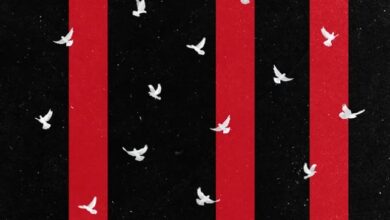 danes veliki shod s pricetkom ob uri tragedije vceraj mnozica v novem sadu navduseno pozdravila pohodnike 6905cc24067da 1761987620