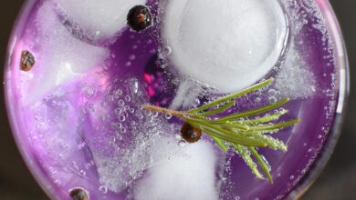 evropska sodba gin le za pijace z alkoholom in brinovimi jagodami 691719eb79622 1763121643