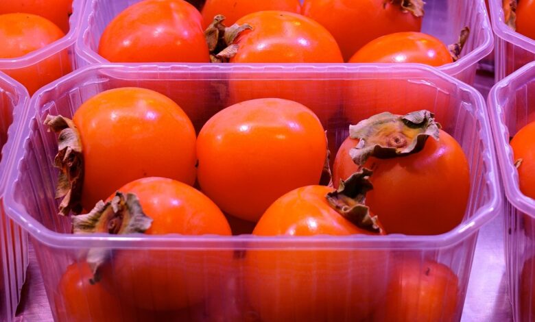 Izjemna letina kakijev v Strunjanu pritegnila množice obiskovalcev 1 izjemna letina kakijev v strunjanu pritegnila mnozice obiskovalcev 691992b0e7b58 1763283632