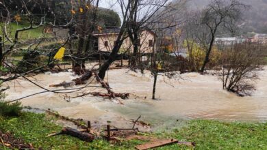 kaos na severnem primorskem poplave in plazovi ohromili regijo 691b62ade4716 1763402413