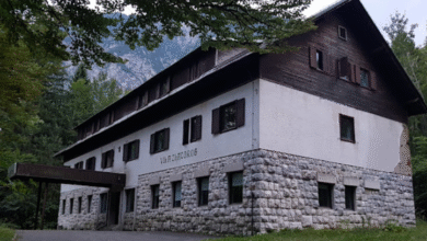 merlak zmagal na sodiscu hotel zlatorog korak blizje obnovi 691f1ef49759d 1763647220