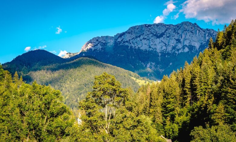 mocna burja na primorskem in ekstremne razmere na hrvaskem 692054493d718 1763726409