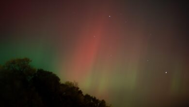 ne zamudite nocojsnjega spektakla na nebu severni sij osvetljuje slovenijo 6914d94f6847e 1762974031