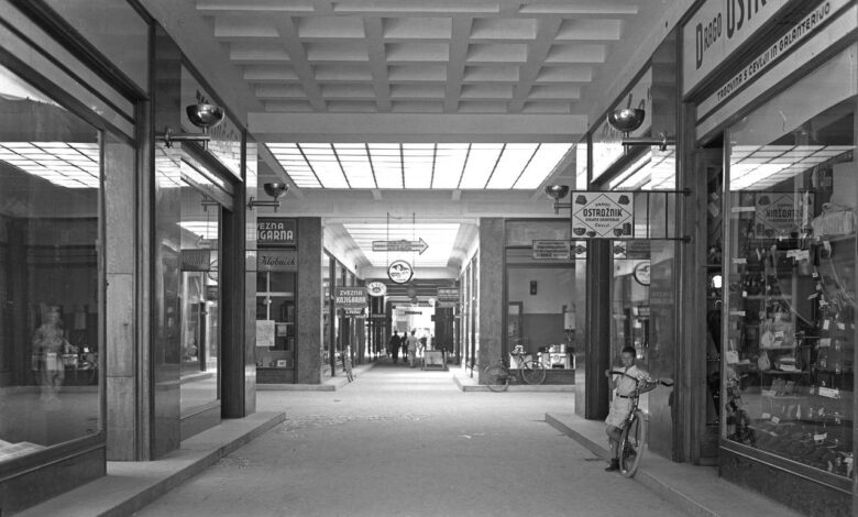 neboticnik zgodba o ljubljanskih pasazah in njihovem propadu 690cd422c3033 1762448418