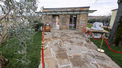 oljcna fontana v marezigah edinstvena svetovna atrakcija 692964b3ca744 1764320435