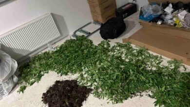 policijska preiskava v trzinu razkrila presenetljivo odkritje 692464f23cebe 1763992818