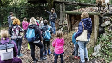 Praznični vikend v ZOO Ljubljana: 35 let izobraževanja 27 praznicni vikend v zoo ljubljana 35 let izobrazevanja 6918a393c0588 1763222419