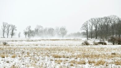 primorsko zajela mocna burja jug drzave pricakuje snezenje 69217bb576bee 1763802037