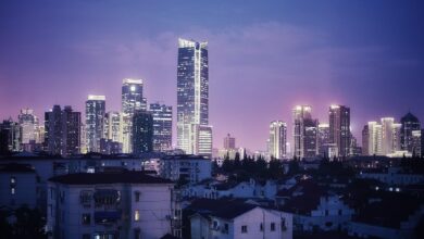 Slovenija krepi gospodarske vezi s Kitajsko na sejmu v Šanghaju 3 shanghai