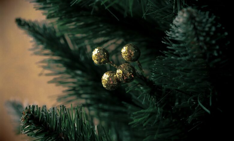 Skrivnostna smreka na Gornjem trgu: darilo, ki povezuje Ljubljano 1 skrivnostna smreka na gornjem trgu darilo ki povezuje ljubljano 69185d45b2e06 1763204421