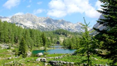 slovenija med top 10 najcistejsih drzav na svetu 6924108fde0b0 1763971215