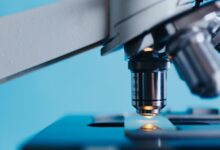 slovenija praznuje prvi nacionalni dan znanosti povezovanje javnosti in znanosti 69104a1d36b84 1762675229