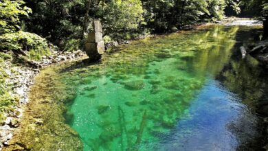 soteska vintgar zakljucila sezono z danasnjim brezplacnim vstopom 690772014034d 1762095617