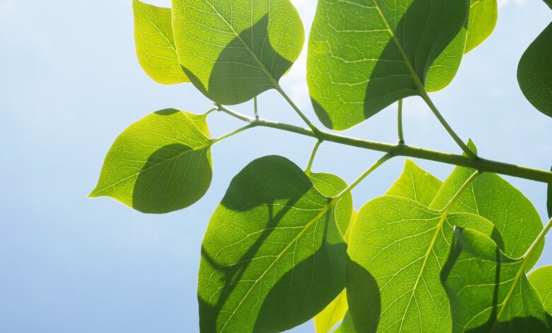 te dni po sonce na vzhod 69120c142e726 1762790420