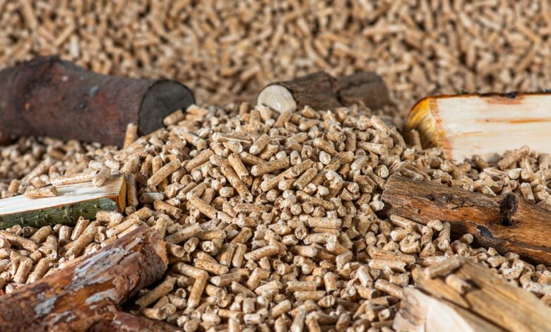 val prevar s peleti na celjskem kupci ostali praznih rok 69143ea4d33fc 1762934436