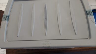 volitve v zetalah kdo bo novi zupan in kaj prinasa referendum 691c279f1613d 1763452831