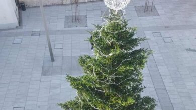 ajdovscina v pricakovanju praznicnih luci glasba in dobrodelnost na dogodku 692d591e65381 1764579614