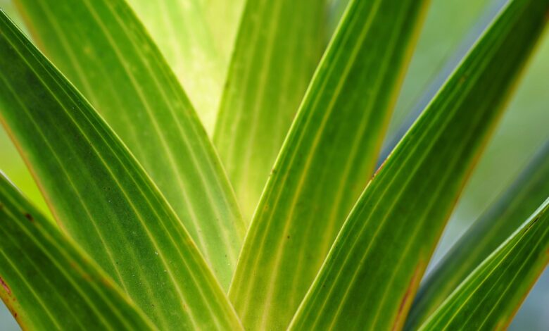 ali zeleni prehod prinasa resnicne spremembe ali zgolj politicne igre 6947fd67c6f70 1766325607