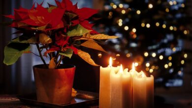 bozicna noc polnocnice jaslice in druzinska srecanja 694c1c3153741 1766595633