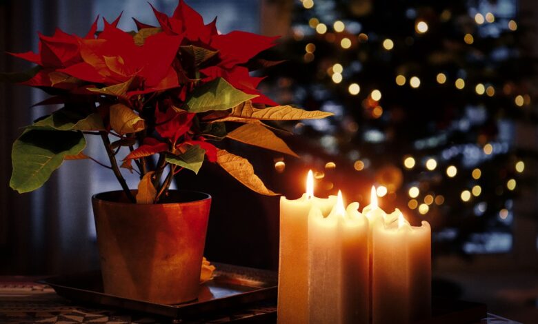 bozicna noc polnocnice jaslice in druzinska srecanja 694c1c3153741 1766595633