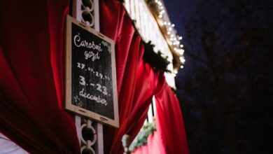 carobni gozd prinasa praznicno carovnijo v srce ljubljane 693169c0d1051 1764846016