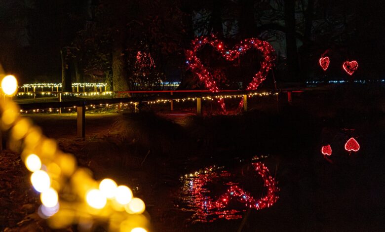 carobni vecerni sprehodi med luckami v arboretumu volcji potok 692dc99e6a471 1764608414