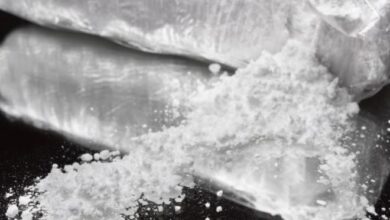 cistost kokaina v sloveniji dosegla rekordne ravni kako in zakaj 695129eeb0246 1766926830