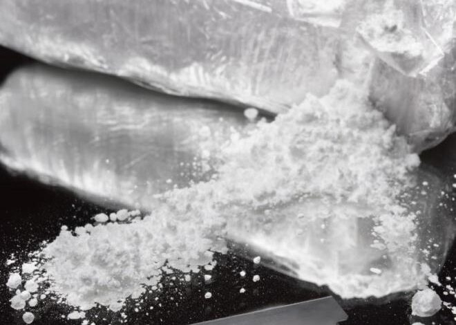 cistost kokaina v sloveniji dosegla rekordne ravni kako in zakaj 695129eeb0246 1766926830