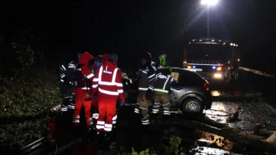 na bozicni vecer drevo padlo na vozilo voznik umrl 694fae4118025 1766829633