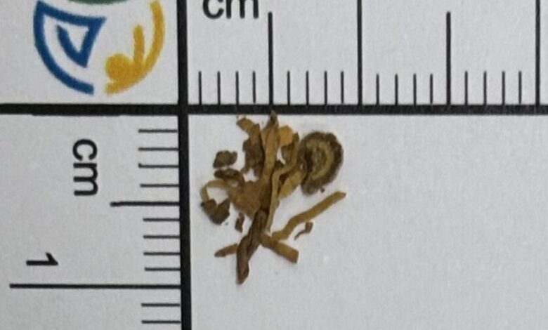 Nevarni sintetični kanabinoidi v Mariboru: Kaj morate vedeti 1 nevarni sinteticni kanabinoidi v mariboru kaj morate vedeti 6935dcdb2f199 1765137627