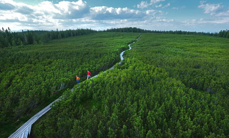 novi nadzorniki na pohorju strozje kazni za krsitve v naravi 693fc0214e457 1765785633