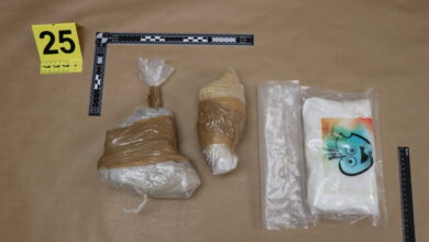 obsezna policijska akcija na goriskem razkrita mreza preprodajalcev drog in orozja foto 6939369a33fa7 1765357210