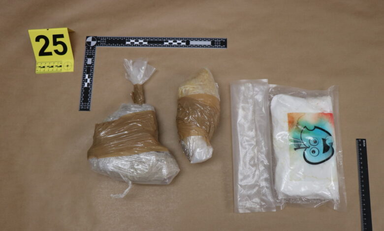 obsezna policijska akcija na goriskem razkrita mreza preprodajalcev drog in orozja foto 6939369a33fa7 1765357210