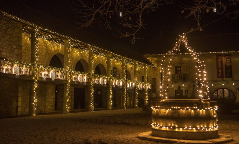 Oddaja, ki bo predvajana na božični večer, posneta v tem dolenjskem mestu 1 oddaja ki bo predvajana na bozicni vecer posneta v tem dolenjskem mestu 694a927709ef8 1766494839