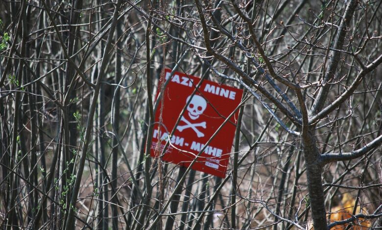 Poljska napoveduje proizvodnjo in postavitev protipehotnih min za zaščito vzhodne meje 1 poljska napoveduje proizvodnjo in postavitev protipehotnih min za zascito vzhodne meje 6945849d68140 1766163613