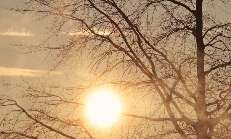 pomladne temperature danes a prihajajo hladnejsi dnevi bomo v prihodnjem tednu docakali sneg 6945226090177 1766138464