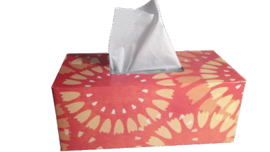 porast gripe omejitve obiskov v bolnisnicah po drzavi 693adc83223f5 1765465219