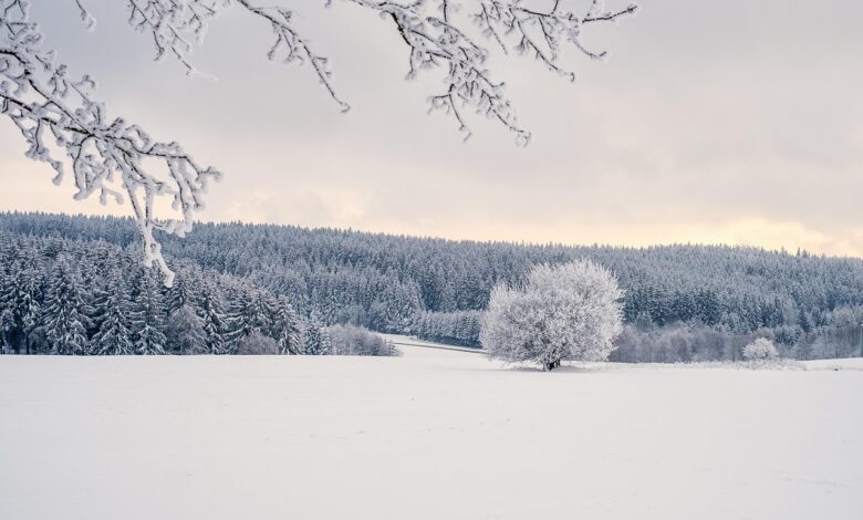 prihaja intenziven zimski mraz z napovedmi temperature pod 10 stopinj celzija 694edb51ca032 1766775633