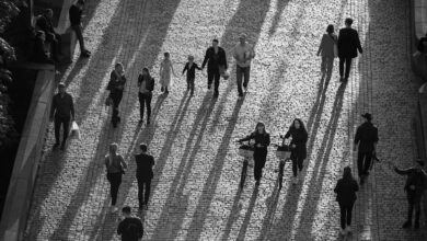 racunsko sodisce razkrilo napacne izracune pokojnin pri zpiz 69427139f259c 1765962041