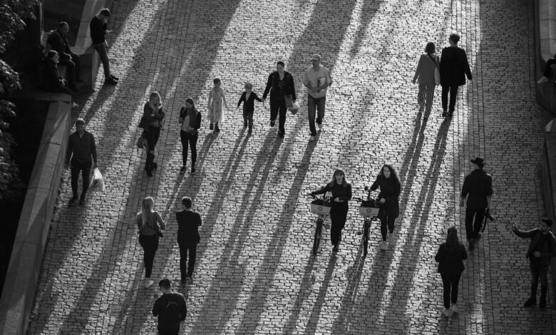 revscina narasca dolgotrajna brezposelnost rekordno nizka 6947ef712ec78 1766322033